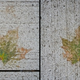 Illustration for article titled Shooting Challenge Fall Leaves Gallery 8